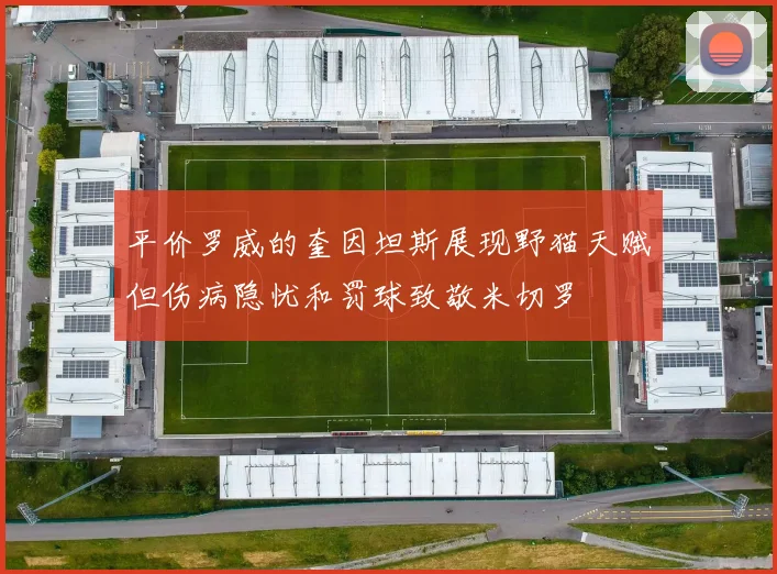 平价罗威的奎因坦斯展现野猫天赋但伤病隐忧和罚球致敬米切罗