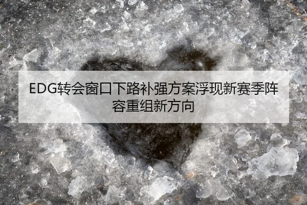 EDG转会窗口下路补强方案浮现新赛季阵容重组新方向